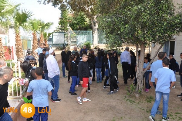 trees shamela 0321 (55).JPG